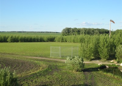 campground baseball diamond